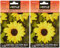 Battle- Semi di Fiori, Girasole Nano Giallo (Confezione da 2)