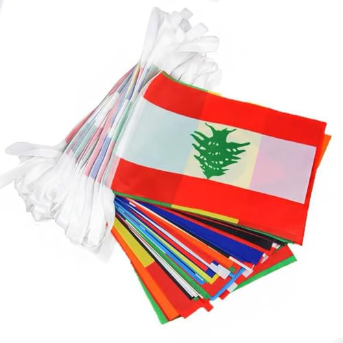 50 Länder Fahnen Wimpelkette Länderflaggen Doppelseitige Flaggebanner Länderfahnen Girland Flaggenkette für Sportvereine Festivals Feiern Party Bar Outdoor Innendekorationen50pcs-15Meter-14 * 21cm