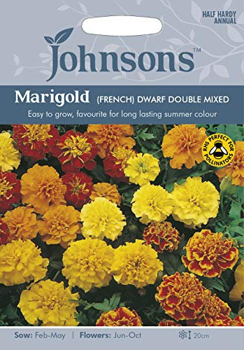 Johnsons Seeds - Pictorial Pack - Flower - Marigold (French) Dwarf Double Mixed - 125 Seeds