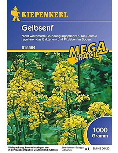 Kiepenkerl, Gründünger gelbsenf 1 Kg