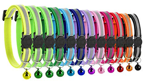 12 Stück Katzenhalsbänder mit Glocke, reflektierend fluoreszierend mit Schnellverschluss/Sicherheitsschnalle, Verstellbar 19–32 cm geeignet für die meisten Hauskatzen