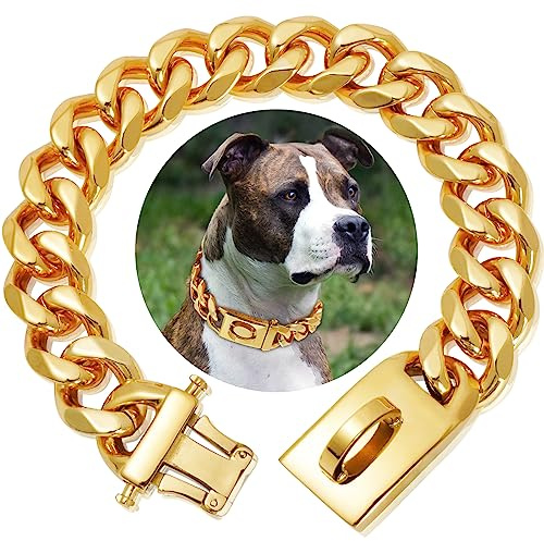 Goldenes Rostfreier Stahl Hundehalsband Metall Hundehalsband Hundekette Pet Halsband für mittlere und große Hunde(50cm)