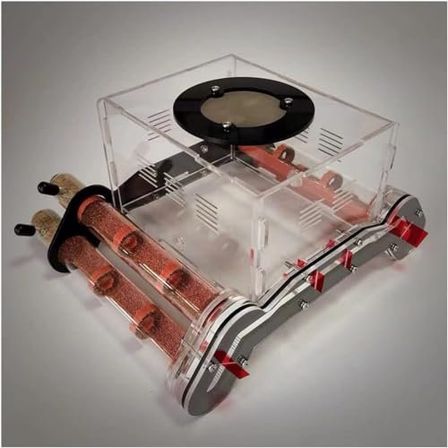 Ameisenzuchtbox, Ameisenfarm, 4 Stück Bambus Reagenzglas Ameisennest DIY Acryl Ameisenhaus Futterbereich Bauernhof Haustier Ameisenhaufen Werkstatt Ökologische Ameisenzucht Schloss Befeuchtung Villa