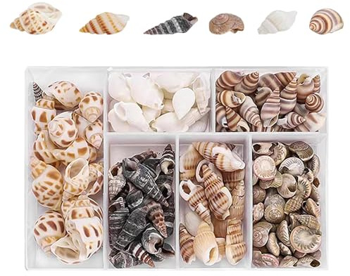 JOYVOX 100 Pcs Natural Seashell Mix for Crafts & Decor - Spiral Shells, Starfish, Sea Urchins for Nautical & Beach Themed DIY Projects