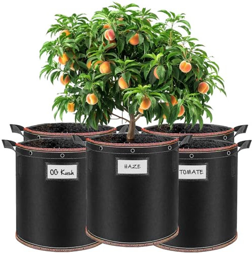 BOLDiX Growbags | Extra stabile Stofftöpfe aus 400g/m² Vliesstoff inkl. Wasserfeste Etikettentasche & Löcher für LST (Low-Stress-Training) | Pflanzsack Wiederverwendbar & BPA-frei (5 x 20 Liter)