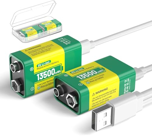 Confezione da 2 batterie da 9 V, 13500 mWh al litio ad alta capacità, con scatola di immagazzinaggio e cavo USB-C per allarmi, giocattoli, rilevatori di fumo, microfoni, torce, ecc.