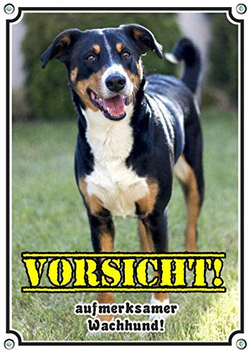 Petsigns Hundeschild Appenzeller Sennenhund - Exklusives Warnschild in 1A Qualität, DIN A4