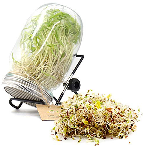 LIVEBAY Sprouting Jar Kit Edelstahl Küche Keimdeckel und Ständer Samen Sprouter Set Bio gesund frisch 1L Wide Mouth Mason Jar für Brokkoli, Alfalfa, Mungbohnen