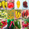 120 Graines des 12 Meilleurs Piments Chili du Monde, Collection Gourmet + Guide : LEMON REAPER, HABANERO, AJI CHARAPITA, ACRATA, FATALII, JALAPENO, DIABLE CALABRAIS etc