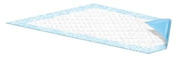 Attends Care Dri-Sorb Underpads for Hospitals, Nursing Homes, and in The Home, 17x24 Disposable Absorbent Pad for Skin and Surface Protection, Heavy Absorbency, 10ct Bag