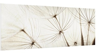 Bilderwelten Spritzschutz Glas - Sanfte Gräser - Panorama Quer, HxB: 40cm x 100cm