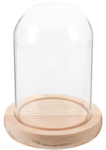 jojofuny Cloche en Verre Transparente 8X15 CM avec Base en Bois Naturel Vitrine d'Exposition Décorative pour Fleurs Éternelles et Bougies Accessoire Artisanal pour Décoration Intérieure