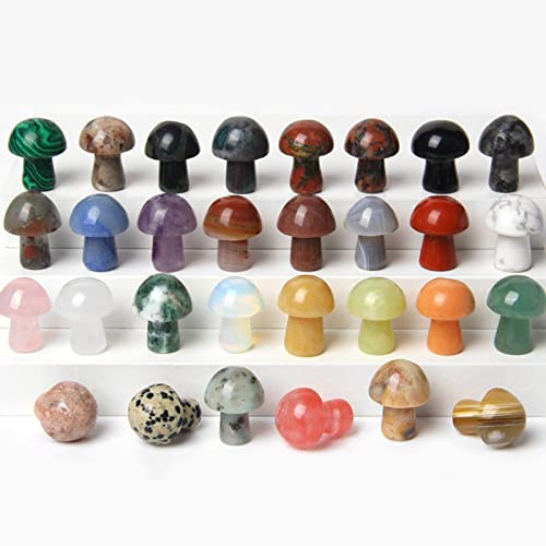 2TTFishoo Natursteine, Pilz-Skulptur, Deko-Kristall für Zuhause, Basteln, Blumentopf, Edelstein, Mini-Pilz, Handarbeit, Hofdekoration, 15 Stück