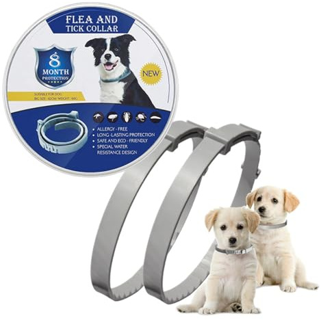 PORUPAEL 2-Pack Dog Collar Set - Adjustable & Waterproof Protective Collar for Dogs with Comfort Fit, Basic Daily Defense for Puppies and Adult Dogs