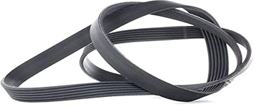 CONTITECH 6PK1564 Correa trapecial poli V Correa Poly V Correa poli V Correa de accesorios