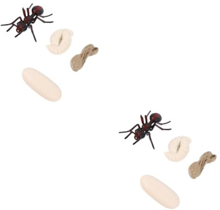 Vaguelly 2 Sets Insekten Wachstumszyklus Kognitives Spielzeug Für Kinder Lernbedarf Rote Ameise Spielzeugmodell Kinder Aufklärungsspielzeug Rote Ameise Wachstumsspielzeug