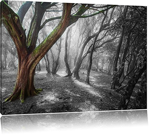 Pixxprint einsamer Baum in tristem Grau B&W, Größe: 100x70cm, Leinwandbild, fertig gespannt, Wandbild, Dekoration, Kunstdruck, kein Poster