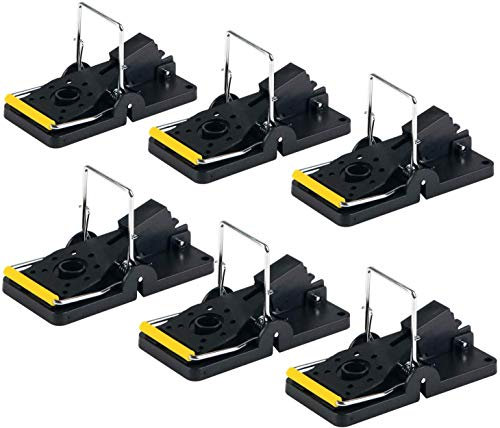 ASPECTEK MausTrap – 6er-Pack Mausefalle, professionelle Mäusen aus Kunststoff zur Rattenbekämpfung, wiederverwendbar und hygienisch, für drinnen und draußen, einfache Handhabung, Mäusebekämpfung