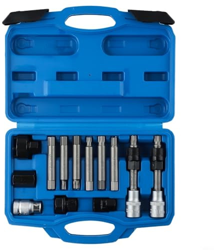 Rehoetom 13-teiliges Werkzeug-Set für Motor-Lichtmaschine, Freilauf-Riemenscheibe und Auto-Gurtschlüssel, Metall-Handwerkzeuge mit einer Vielzahl von Stecknüssen