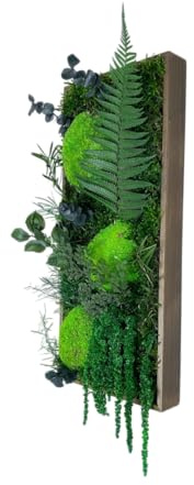 Gedankenwunder Manufaktur Moosbild Ranken Dschungel Rechteck Wandgarten