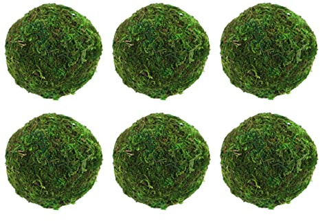 6st Getrocknete Mooskugeln Natürliche Dekorative Grüne Kugeln Dekorative Faux Getrocknete Kugeln Hängende Bälle Konserviertes Grünes Moos Ball Künstlich Blinddarm Getrocknetes Moos