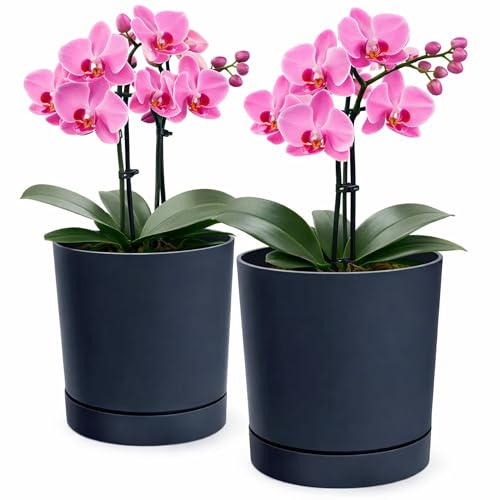 PECZEKO Blumentopf matt, Pflanzkübel aus Übertopf Kunststoff Dekorativer Topf für, groß und klein Pflanzen, 2er-Set blumenkübel, blumenkübel kräutertopf (2 Pack) Anthrazit, ø 20 cm