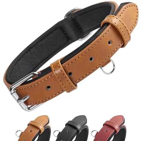 Grand Line Collar de Perro de Cuero, Collare Ancho y Grueso con Suave Acolchado，Collare de Perro en Piel Ajustables Resistentes para Perros Pequeños, Medianos, Grandes (Marrón, S)