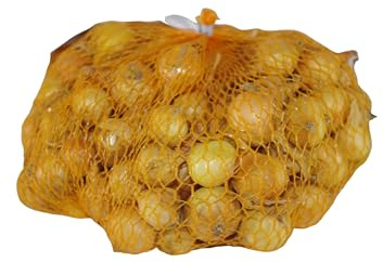 Bulbi di Cipolla 500 gr - Sturon F1 – Calibro 21/24 mm – Prima Scelta | Bulbi da Semina ad Alta Germinazione | Produzione Garantita | Spedizione Gratuita + Assistenza Agronoma Inclusa