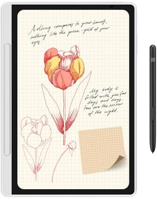 XPPen Magic Note Pad 10,95 Blocco Note Digitale a Colori, 16K Livelli di Pressione, Lettore eBook, Tre Modalità di Colore per Disegno e Appunti
