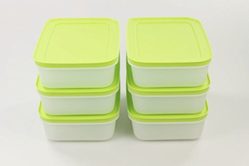 TUPPERWARE Gefrier-Behälter 1,0 L grün-weiß flach (6) Eis-Kristall Eiskristall
