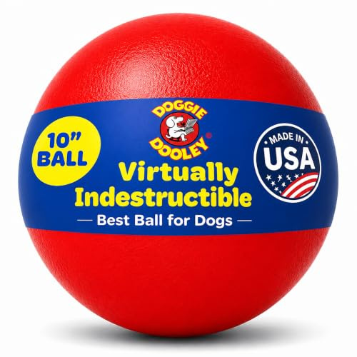 Doggie Dooley Virtually Indestructible Dog Ball - 10 Inch Hard Plastic Interactive Dog Toy for Large Breeds Over 45+ lbs - Built for Herding & Push Play - Floats in Water, Made in USA -Colors May Vary