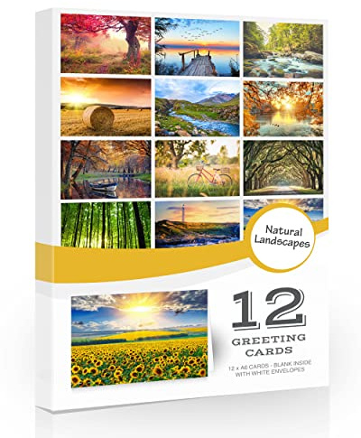 Lot de 12 cartes de vœux pliantes avec enveloppes - Intérieur vierge pour toutes les occasions