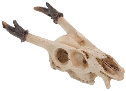 Supvox Terrarienzubehör Aus Kunstharz Detailgetreuer Totenkopf Als Versteck Für Reptilien Echsen Schildkröten Und Amphibien Passend Für Schlangen-terrarien Und Aquarien-Dekorationen