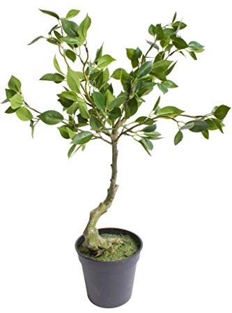 Nova-Nature künstlicher Ficus Benjamini Bonsai im schwarzen Kunststofftopf
