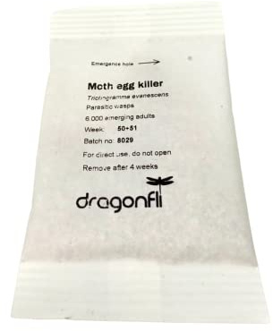 Dragonfli Clothes Moth Egg Killer Sachets - Trichogramma Parasitic Wasps - Each Sachet Contains 6000 Wasps - Treats Areas of 25m2 (1 Sachet)