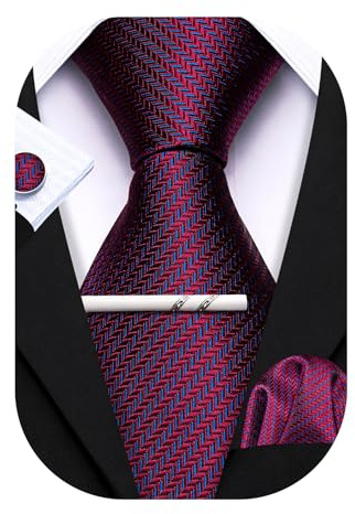 Barry.Wang Mens Tie Paisley Plaid Striped Floral Silky Necktie Pocket Square Cufflinks Clip Set Wedding Party Formal Business