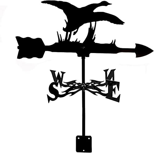ZAANU Banderuola segnavento in Metallo con Avatar di Cartone Animato, indicatore di direzione Creativo per banderuola da Giardino, Tetto, Paddock, Decorazione (Stile 5)