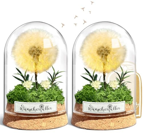 Wunscherfüller mit LED Licht, Echte Pusteblume im Glass, Ewig Geburtstagsgeschenk für Frauen Freundin Mädchen Geschenke für Geburtstag Hochzeit Jugendweihe Weihnachten Valentinstag 2 Stück (2 Stück)