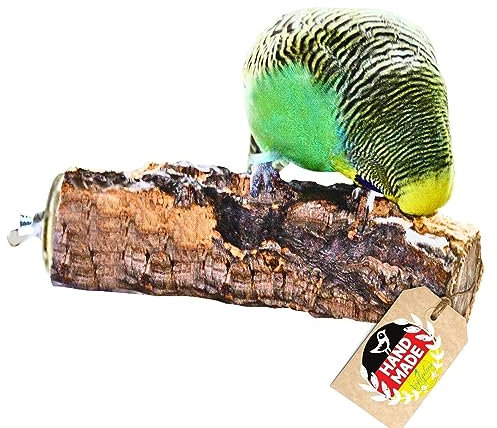 Vogelgaleria® Korksitzstange Wellensittich Nymphensittich 10cm| Kork Sitzstange mit herrlicher Korkrinde zum Sitzen und Knabbern | Vogelsitzstange und Vogel Stange für Krallenpflege | Korksitzbrett