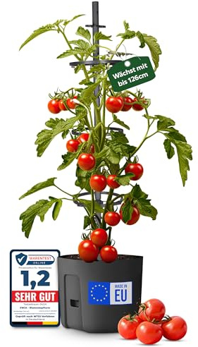 EW24 Tomatentopf 29 cm x 29 cm - integrierter 4 Liter Wasserspeicher und mitwachsende Rankhilfe bis zu 126,2 cm - optimaler Schutz vor Schädlingen - für Balkon, Garten, Terrasse
