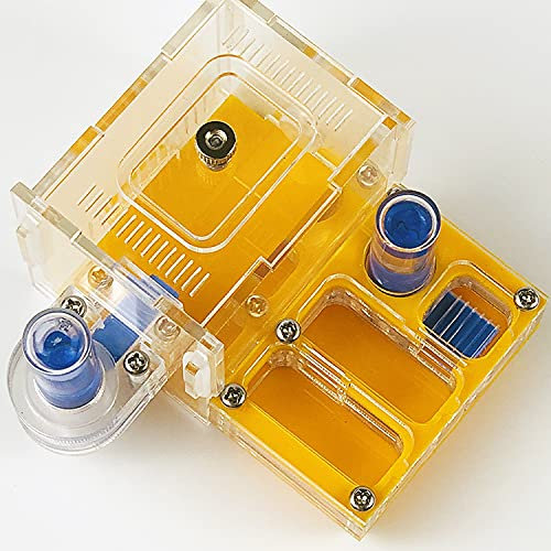 Dural Wasserhandtuch Ameisenwerkstatt Acrylnest Ameisen Bauernhof Haus Aktivitätsbereich Tasche Mini Neues Ameisennest (Yellow)