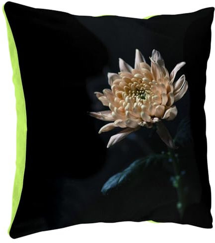 Federa per cuscino in peluche verde – crisantemo su fondo nero macro natura, 40 x 40 cm, tocco peluche