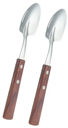 Lot de 2 cuillères élégantes pour crème glacée et dessert en acier inoxydable avec manche en bois