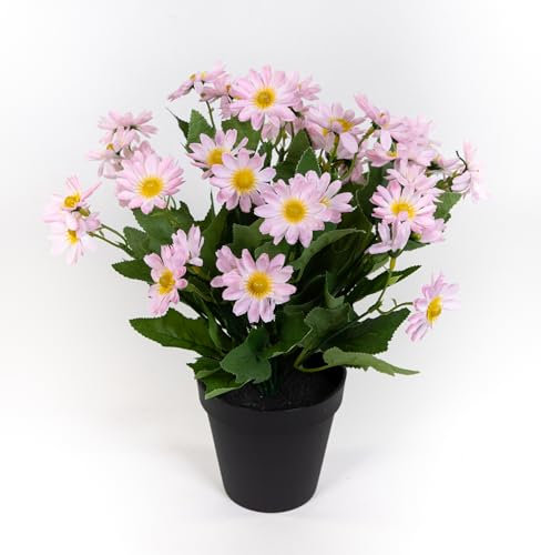 Seidenblumen Roß Margeritenbusch 32cm im Topf JA Kunstpflanzen Kunstblumen künstliche Margerite Blumen Pflanzen (Rosa)