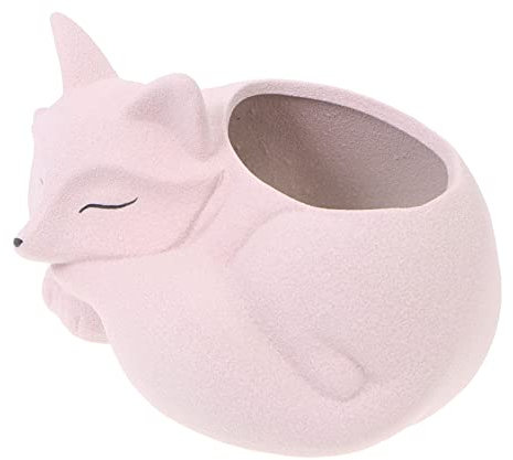 TOYANDONA Maceta de Cerámica Decorativa Forma de para Suculentas Adorno 1 Diseño para Decorar Sala de Estar