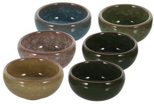 minkissy 6pcs Essential Oil Blending Bowls Small Ceramic Porcelain Dishes for Spa Beauty Salon Aromatherapy Oil Mixing Tray Set