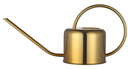 AMYSTY Gartengießkanne Gießkanne Giesskanne Beregnungskanne Edelstahl Gießkanne Gartenarbeit Topf Für Die Bewässerung Von Pflanzen Blume Beregnungskanne Sprühflaschen (Color : Gold, Size : 1L)