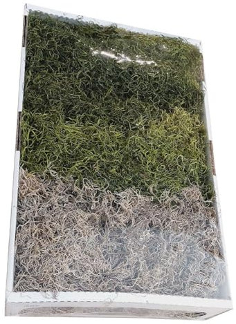 Dschungelmoos I 1 kg I gefärbt und präpariert I grün + natur I Moos Mix