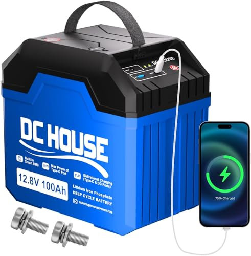 DCHOUSE Batterie LiFePO4 12V 100Ah avec Protection BMS,Ports DC et Type-C, capacité de 1280Wh de Batterie au Lithium de Grade A– Idéale pour Camping-Car, Moteur à la traîne, campin