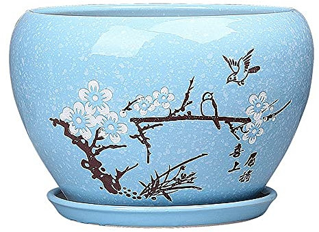 Grand pot à orchidée de style chinois avec plateau en céramique pour cactus succulentes et plantes